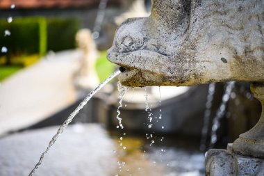 Karlovy Vary 'deki termal su kaynağı
