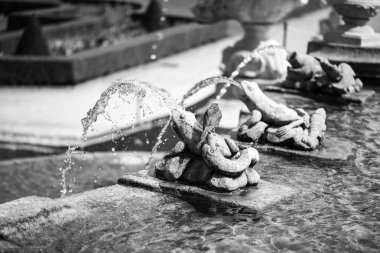 Karlovy Vary 'deki termal su kaynağı