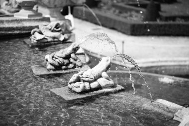 Karlovy Vary 'deki termal su kaynağı