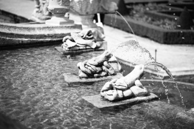 Karlovy Vary 'deki termal su kaynağı