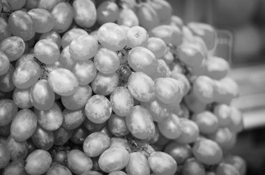 İtalyan pazarında taze meyveler kapanıyor.