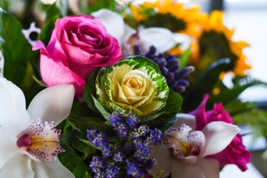 Taze doğal çiçekler, yakın görüş.