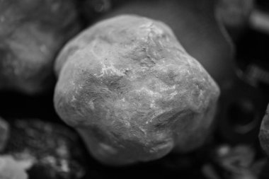 Taze trüf mantarları yakın görünüm