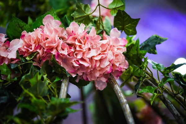 Fleurs Naturelles Fraîches Vue Rapprochée — Photo