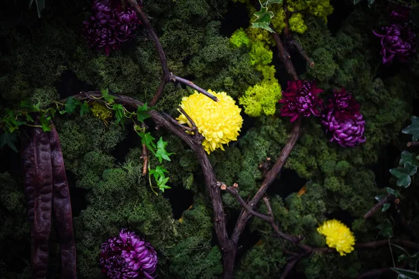 fresh natural flowers close up view