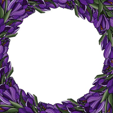 Crocus Dekorasyonu 3color