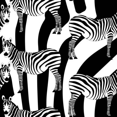 zebra deseni