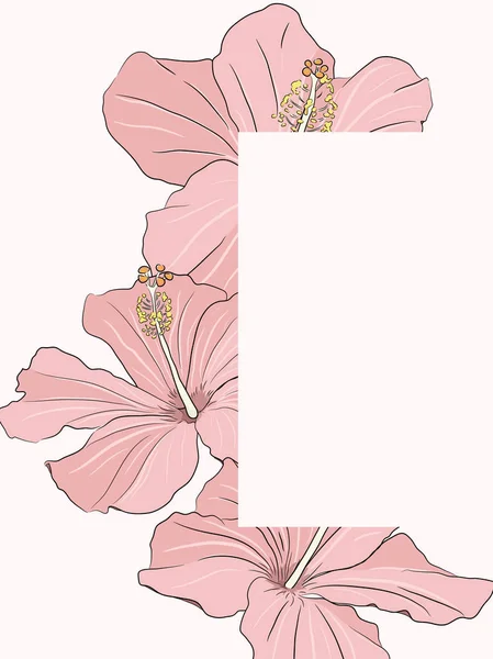 Vorlage für Hibiskusblumenkarten 2 — Stockvektor
