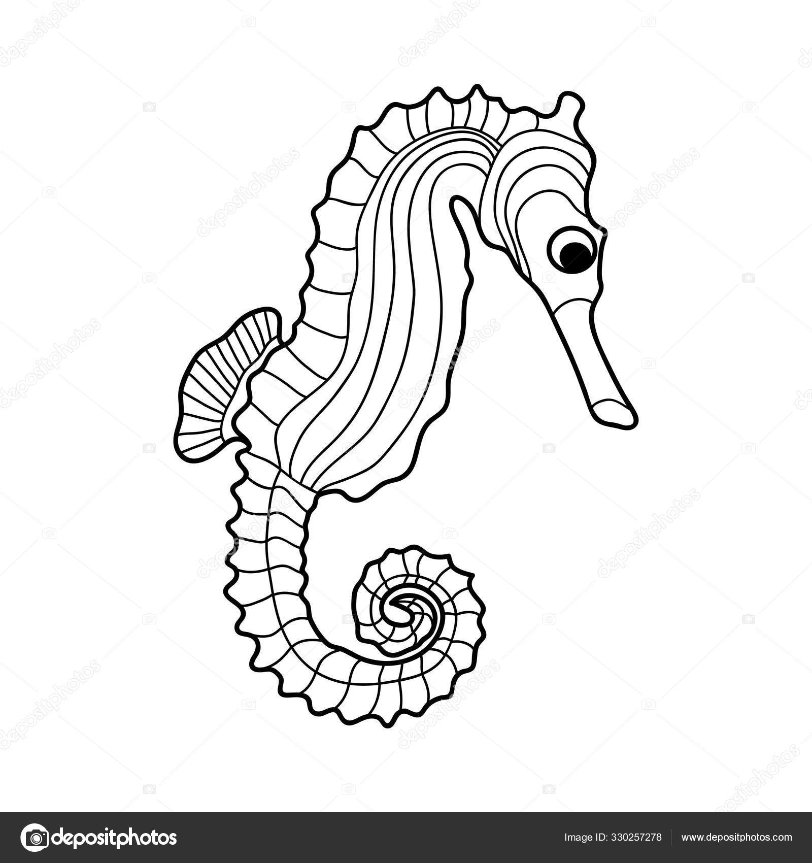Download Sea Horse Coloring Vector Image By C Veronika Sh Vector Stock 330257278
