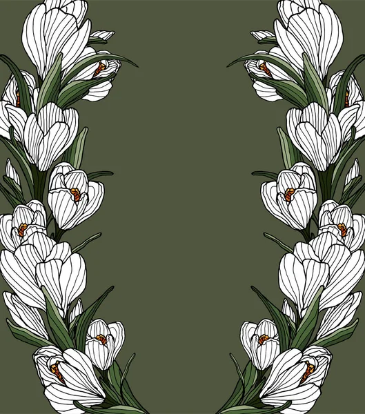 Crocus-kader9 — Stockvector