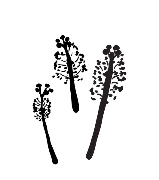 Абстрактный силуэт растений — стоковый вектор