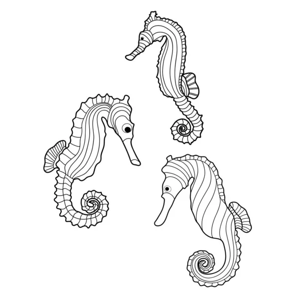 Hippocampe Vecteur Dessiné Main Animal Sous Marin Cartoon Style Élément — Image vectorielle