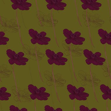 Vector çikolatalı kozmos çiçek deseni. Çiçek kapağı, arkaplan, paket