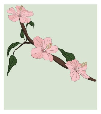 Çiçekli Hibiscus dalı. Kart kalıbı. Davetiye, düğün, parti afişi, poster tasarımı.