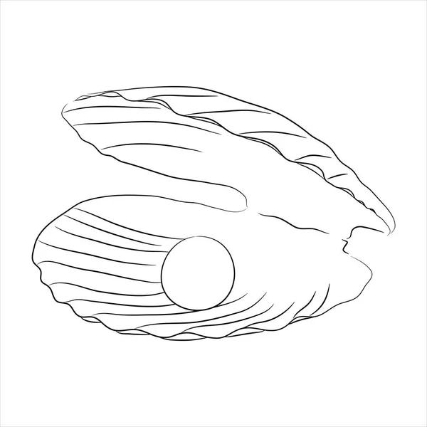 Обрывочная Иллюстрация Морской Раковины Изолированные Белом — стоковый вектор