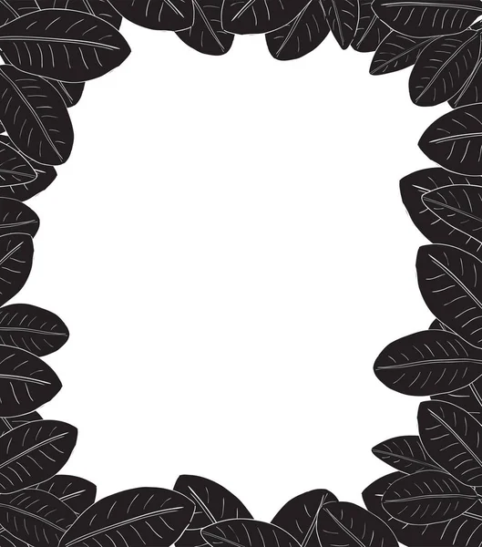 Тропический Листовой Кадр Экзотические Нарисованные Вручную Листья Черно Белая Иллюстрация — стоковый вектор