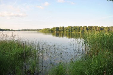 Berrak bir Temmuz gününde sakin bir nehir