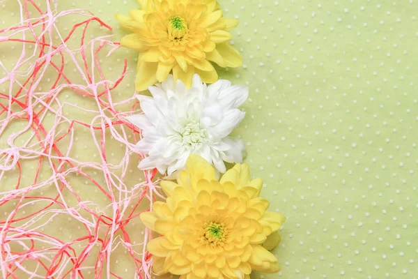 spring concept with white and yellow flowers on a light green and pink background, top view layout