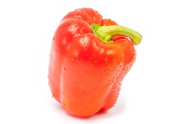 Rode Paprika Een Witte Achtergrond — Stockfoto