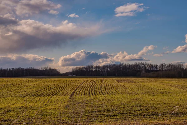 Kümülüs bulutlu mavi güneşli gökyüzü
