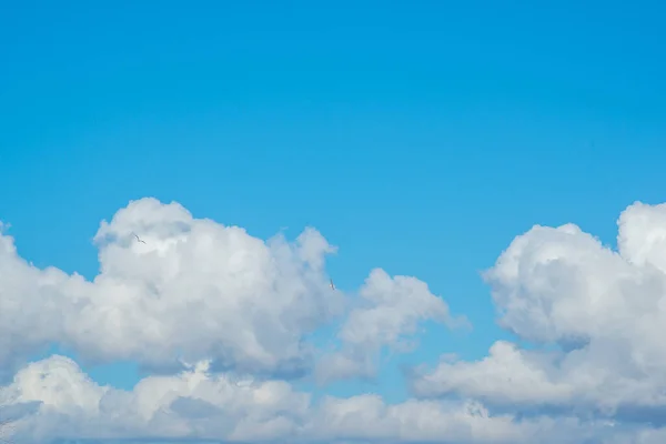 Cielo Blu Con Nuvole Cumulative — Foto Stock