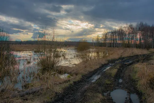 Landscape View Swampy Area — Stock Photo, Image