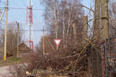 Kesilmiş ağaç dalları yerde yatıyor.