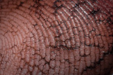 Bir kişinin işaret parmağına yakın plan, parmak izi olan bir defter.