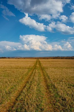 Bulutlu bahar manzarası yolu.