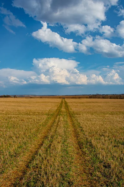 Bulutlu bahar manzarası yolu.