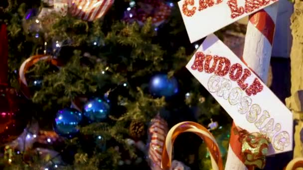 用闪光的路标和装饰过的树进行圣诞特写 — 图库视频影像