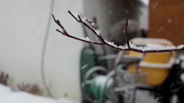 Close Branch Snowstorm Backyard — Stock Video