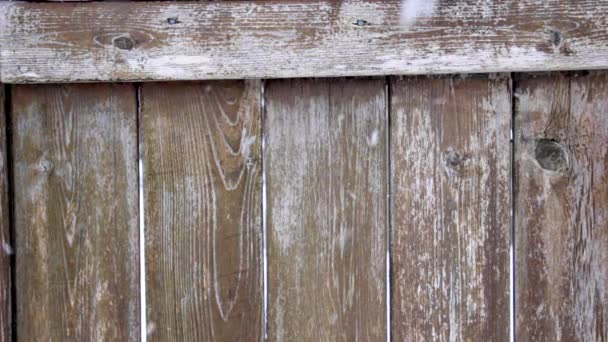 Snow Falling Wooden Fence — Stock Video