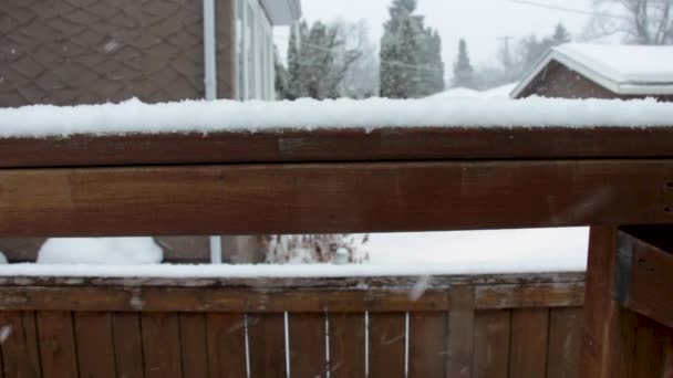 Snow Falling Wooden Rail Fence Suburban Backyard — Stock video