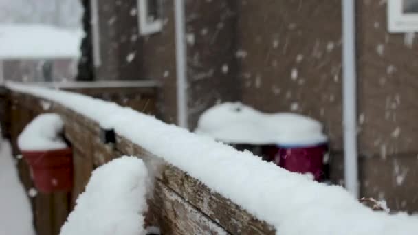 郊外の裏庭のフェンスの上の雪嵐 — ストック動画