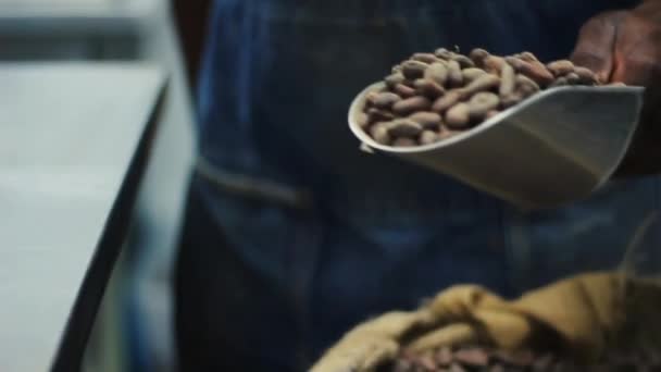 Scooping Cocoa Beans Out Bag Royalty Free Stock Footage