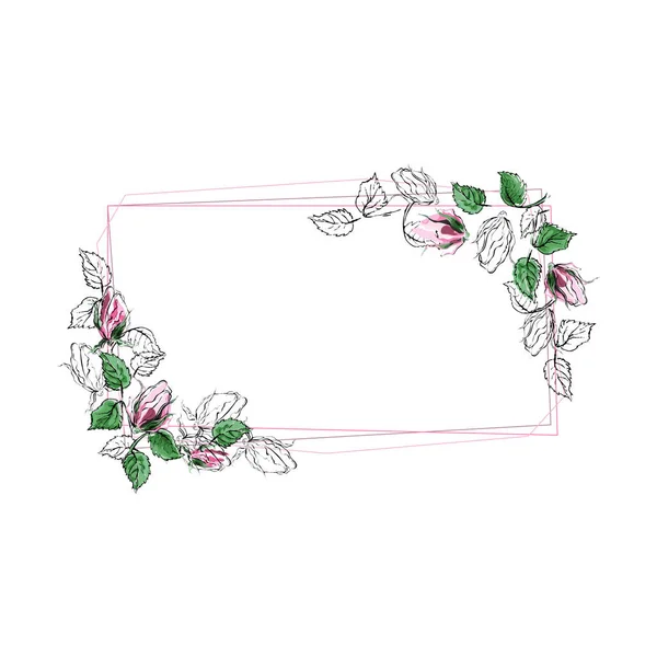 花形长方形典雅框架 在白色背景上用手工画的玫瑰来表示矢量 用于装饰 请柬等 — 图库矢量图片