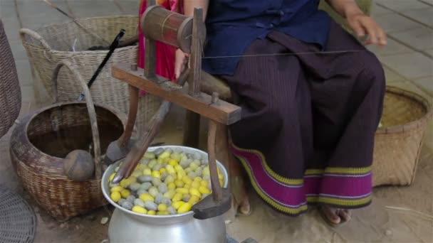 Коконы шелкопряда вытаскиваются женщиной для производства одежды . — стоковое видео