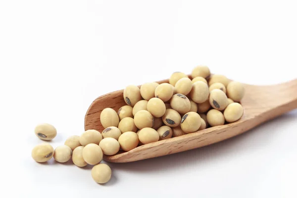 Soybean isolated on white background. — Stock Photo, Image