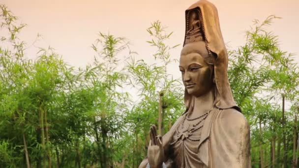 Guan Yin staty i bambu trädgård. — Stockvideo