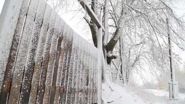 ずっと北のエリアの冬の風景です。雪に覆われた地域のシベリア、木製フェンス。冬の北の村. — ストック動画