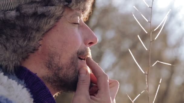 Porträt eines Mannes, der Harfe spielt. der bärtige Schamane spielt Mundharmonika drymba. Nahaufnahme mit der Harfe eines Musikers. Nahaufnahme mit einem Musikinstrument Judenharfe. — Stockvideo