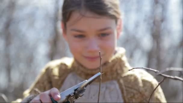 Le garçon coupe les arbres dans le jardin avec une taille. L'enfant aide à couper les arbres dans le parc au printemps. Un jardinier adolescent coupe les branches de la ferme . — Video