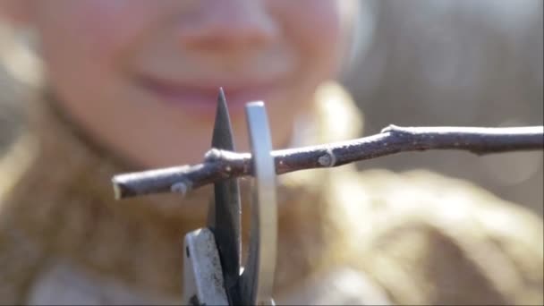 The boy cuts the trees in the garden with a pruner. The child helps to trim the trees in the park in the spring. A teenage gardener cuts off branches on the farm. — Stock Video