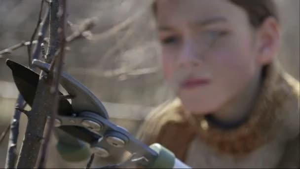 Le garçon coupe les arbres dans le jardin avec une taille. L'enfant aide à couper les arbres dans le parc au printemps. Un jardinier adolescent coupe les branches de la ferme .