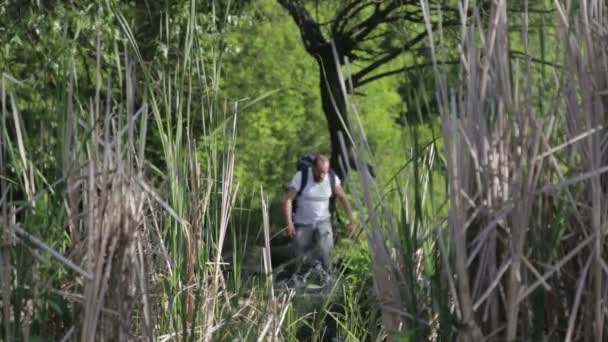 Un hombre barbudo viaja por el vado del río. Un turista con una mochila cruza el río. El barbudo cruza el río . — Vídeos de Stock