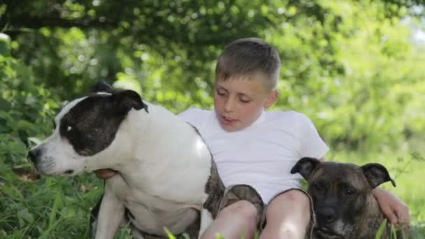 Parkta Staffordshire korkunç bir çocuk. Köpeği olan bir çocuk portresi kapatın. Doğada bir oğlanla safkan staffordshire. — Stok video