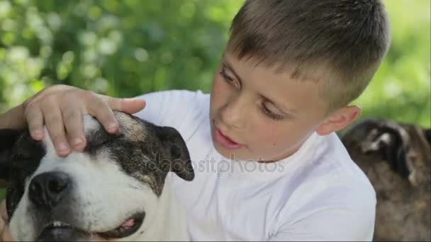 Chlapec s stafordšírských teriérů v parku. Zavřete portrét dítěte s psy. Rodokmen staffordshire s dospívající v přírodě. — Stock video
