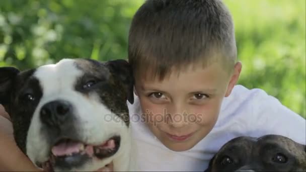 一个男孩在公园里的斯塔福郡梗。关闭了孩子与狗的肖像。十几岁的性质与谱系斯塔福德郡. — 图库视频影像