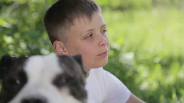 Een jongen met Staffordshire terriers in het park. Close-up portret van een kind met honden. Stamboom staffordshire met een tiener in de natuur. — Stockvideo